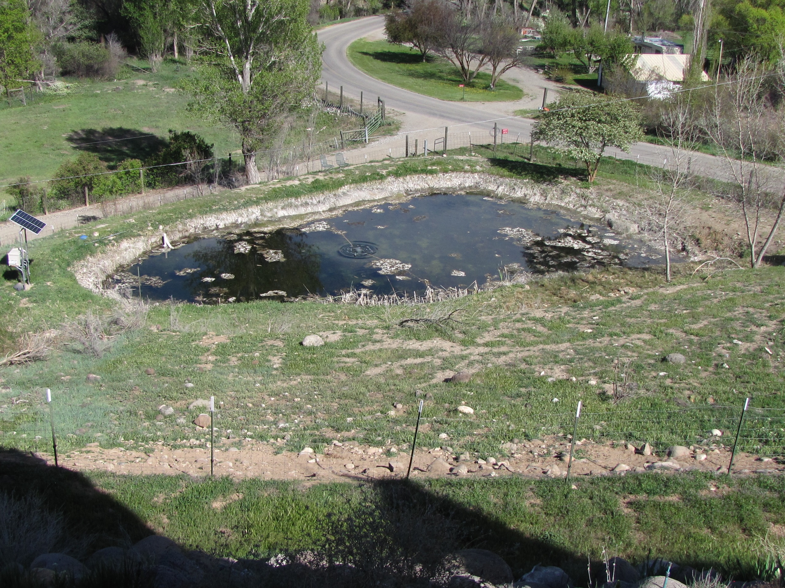 Attached picture Aerator working in pond drained to upper drain cap (resized photo 64%).jpg
